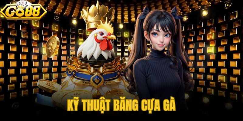 Kỹ Thuật Băng Cựa Gà