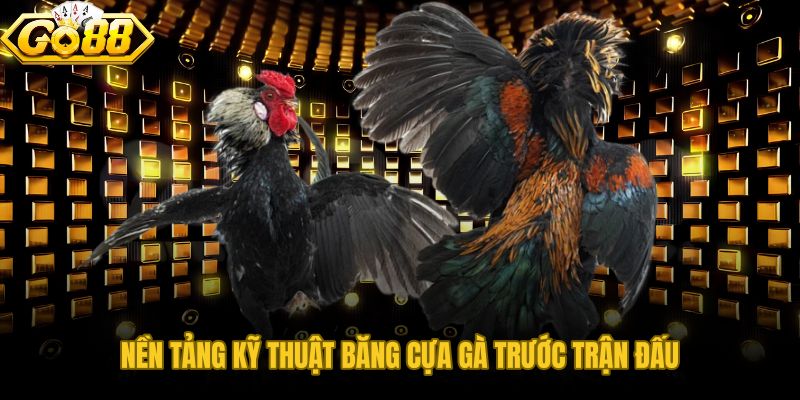 Kỹ Thuật Băng Cựa Gà và nền tảng đọc cẳng trước trận
