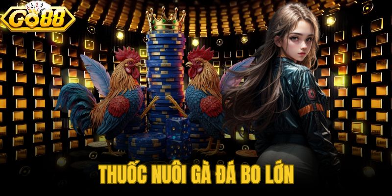 Thuốc Nuôi Gà Đá Bo Lớn