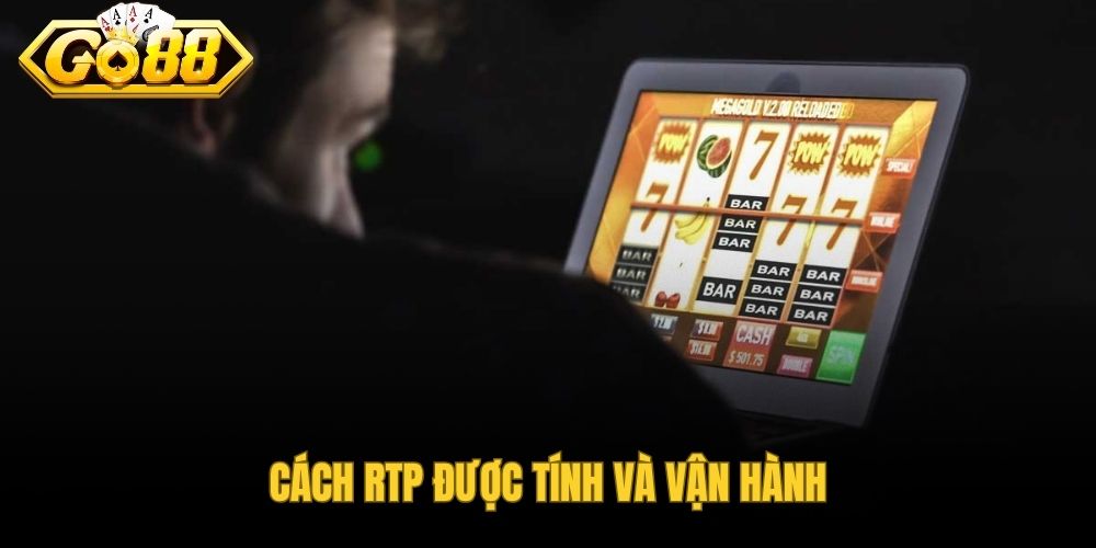 Thuật ngữ RTP là gì được giải thích qua công thức hoàn trả